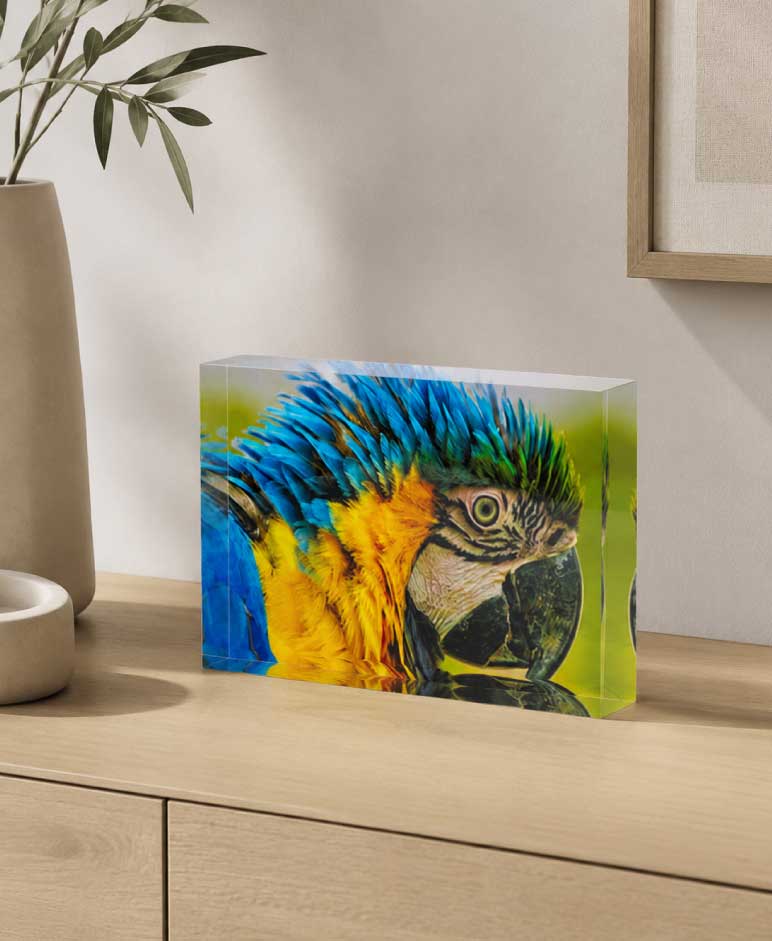 Bloc de Plexi 20x15cm – Image 2