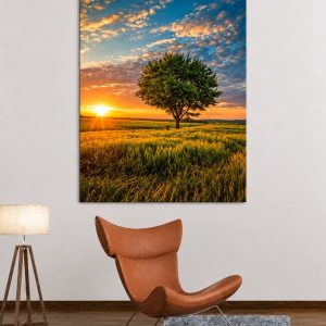 Photo sur alu dibond 180x130cm