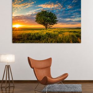 Photo sur alu dibond 130x180cm