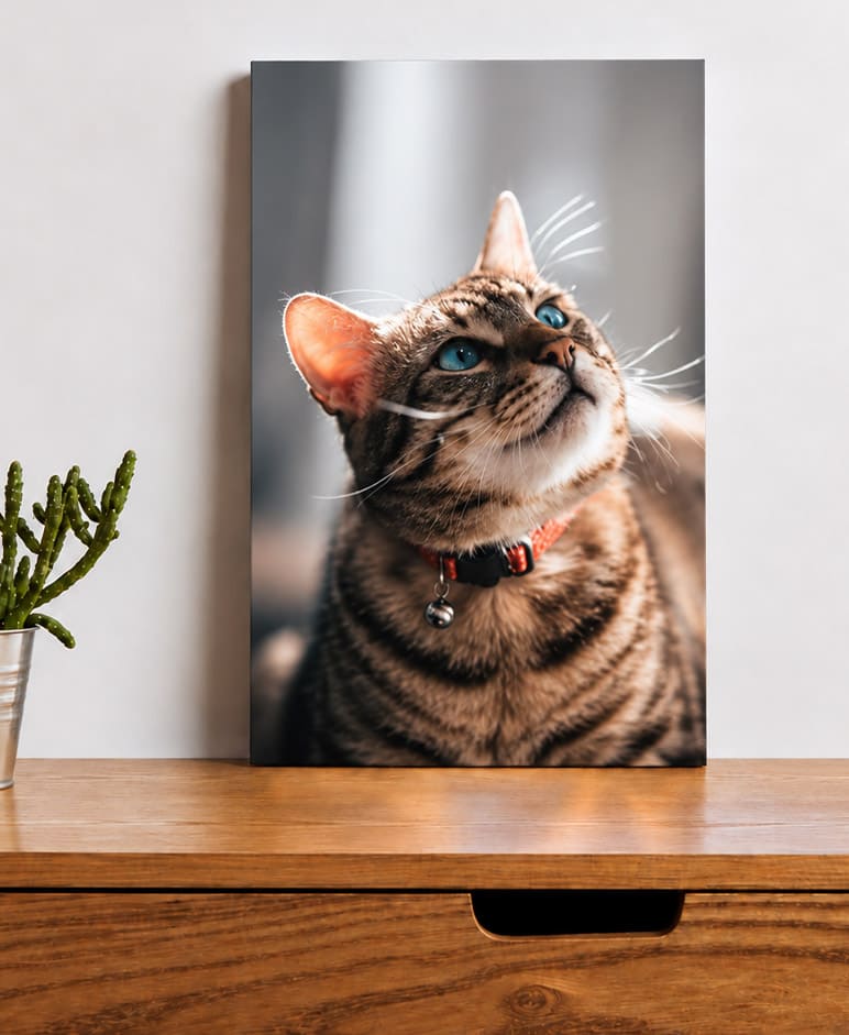 Photo sur plexiglas 20x15cm