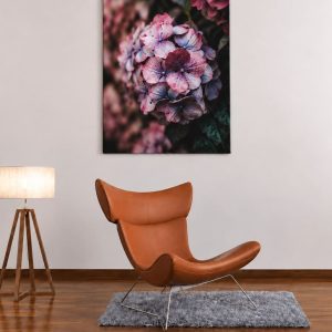 Photo sur plexiglas 60x40cm